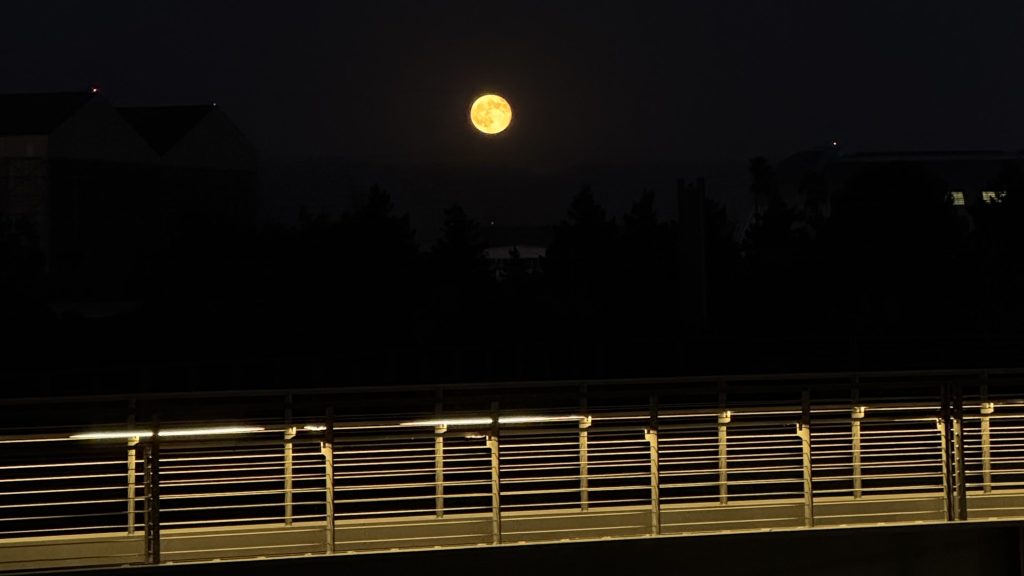 The Weekly: AI Eats AI Research